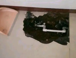 博野县卫生间测漏水多少钱